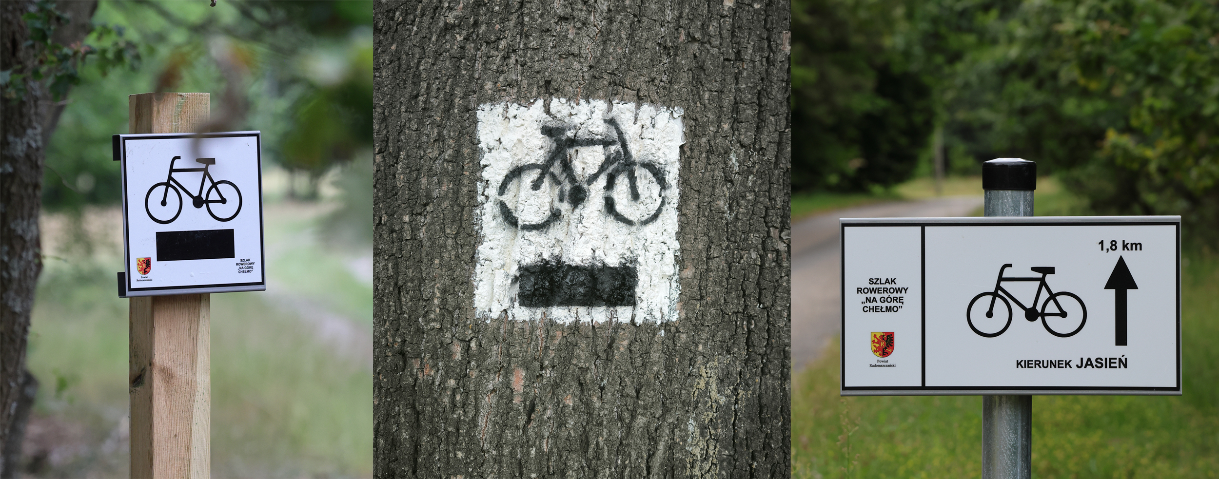 obraz przedstawia sposób oznakowania szlaku rowerowego 